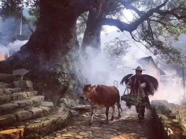 大话西游手游
