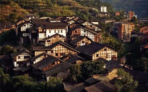 新春助残 暖人心