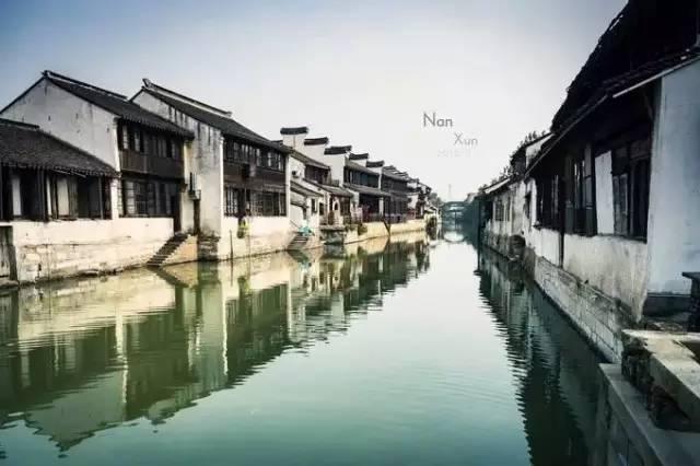 强大的狮子拼图